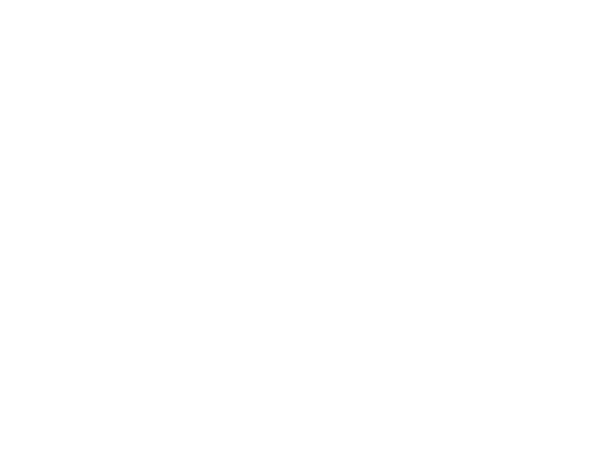 Section 1 Image